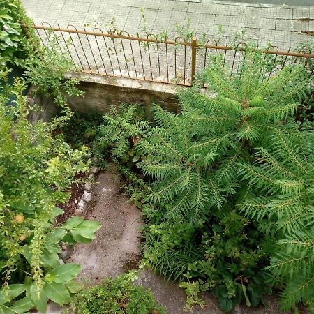 Il Cactus Bed & Breakfast San Giovanni Incarico Bagian luar foto