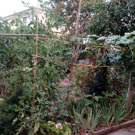 Il Cactus Bed & Breakfast San Giovanni Incarico Bagian luar foto