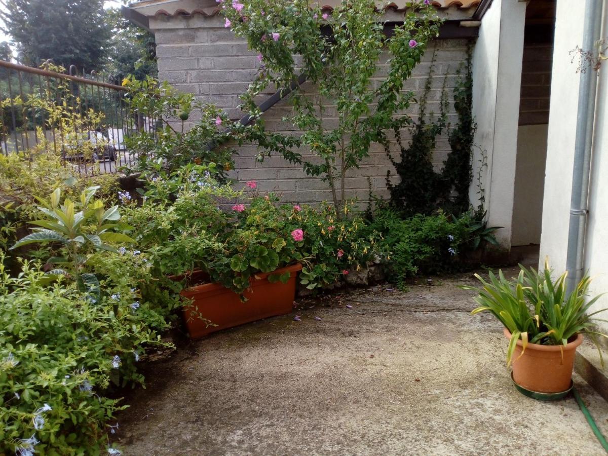 Il Cactus Bed & Breakfast San Giovanni Incarico Bagian luar foto