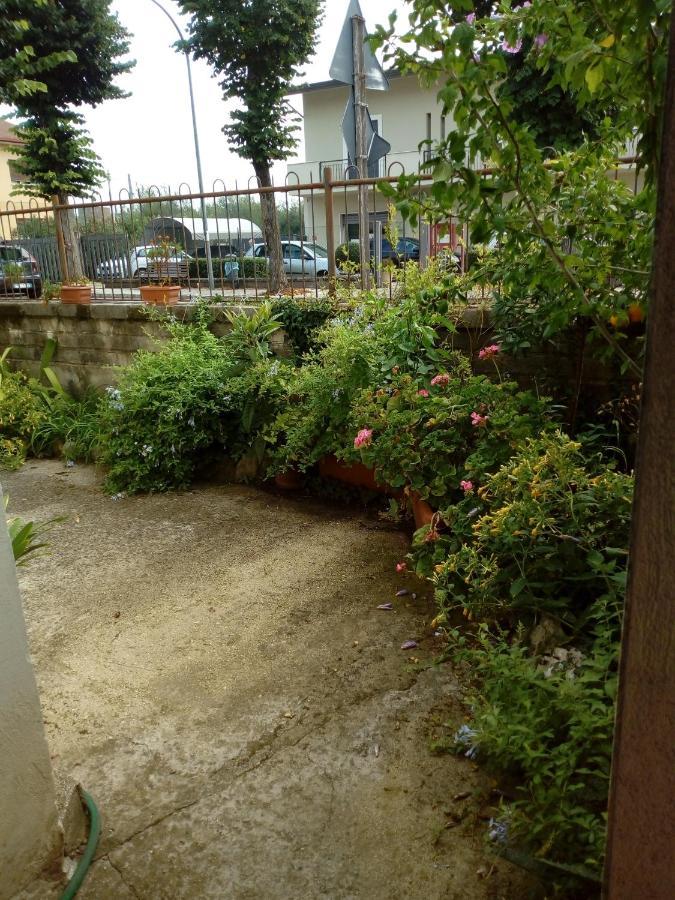 Il Cactus Bed & Breakfast San Giovanni Incarico Bagian luar foto