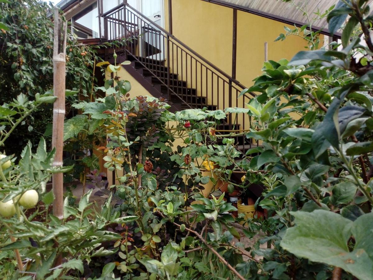 Il Cactus Bed & Breakfast San Giovanni Incarico Bagian luar foto
