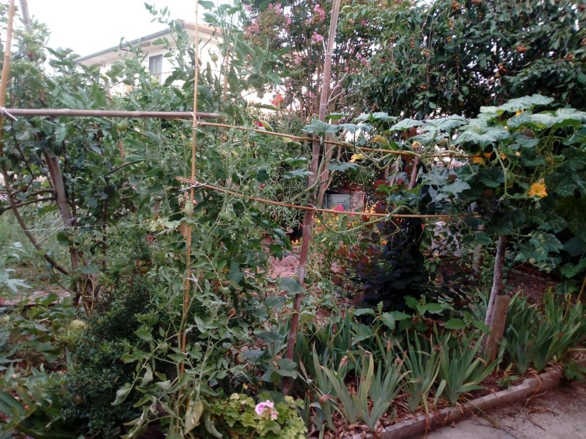 Il Cactus Bed & Breakfast San Giovanni Incarico Bagian luar foto